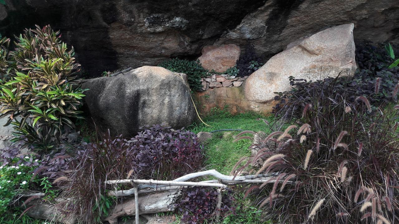 شقة Jardin Marron باي سانت آن المظهر الخارجي الصورة